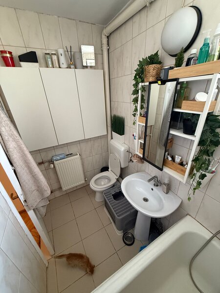 Obor, Kaufland Colentina